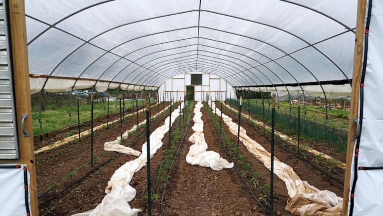 How Long Does Hoop House Tunnel Plastic Usually Last?