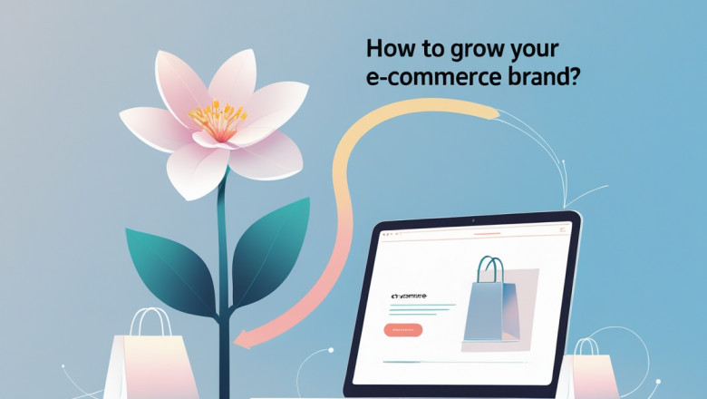 How to Grow Your E-Commerce Brand? – Ultimate Guide