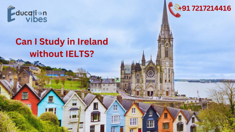 What are the most popular courses among international students in Ireland?