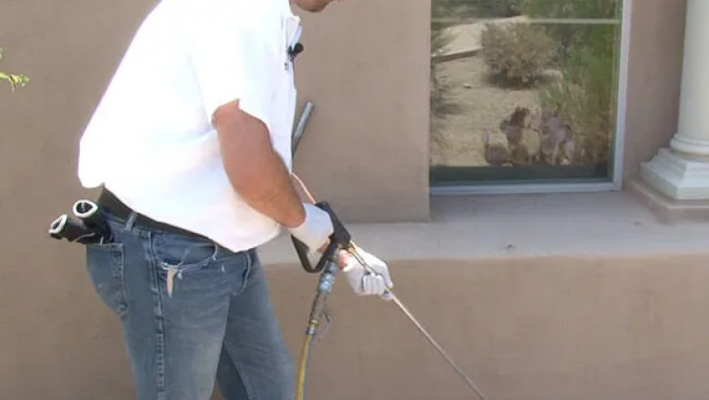 The Benefits of Hiring Professional Exterminators in Scottsdale AZ