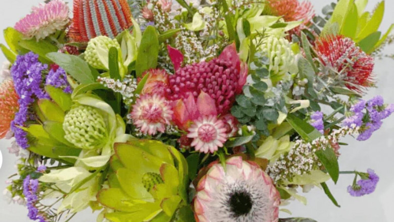 Why Fruit Hampers and Plant Gifts Are Perfect for Any Occasion