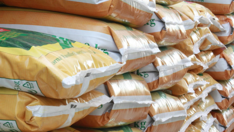BOPP Bags: The Future of Packaging, Today