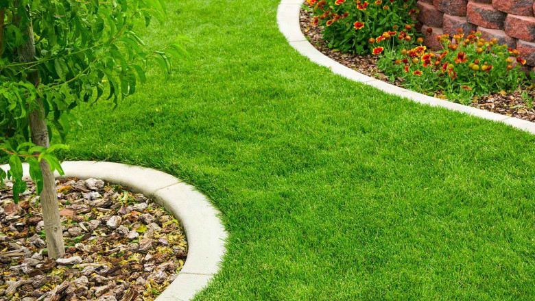 Lawn Edging: The Unsung Hero of Beautiful Landscapes