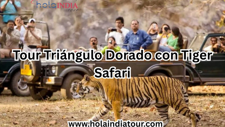 Tour Triángulo Dorado con Tiger Safari: Una Aventura Salvaje en la India Real