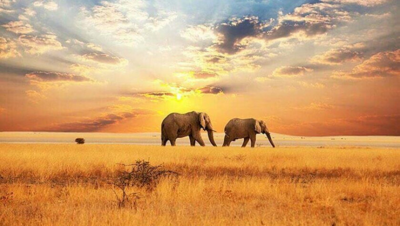 Best Travel Blogs for Adventure Seekers